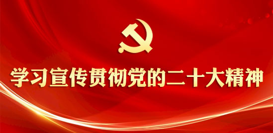 学习宣传贯彻党的二十大精神专题